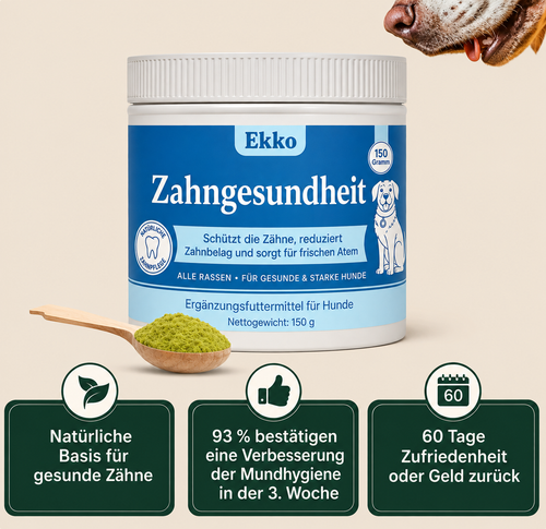 Ekko - Zahngesundheit
