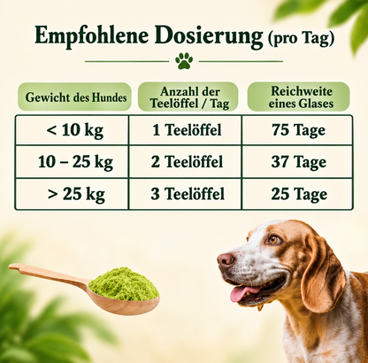 Ekko - Zahngesundheit